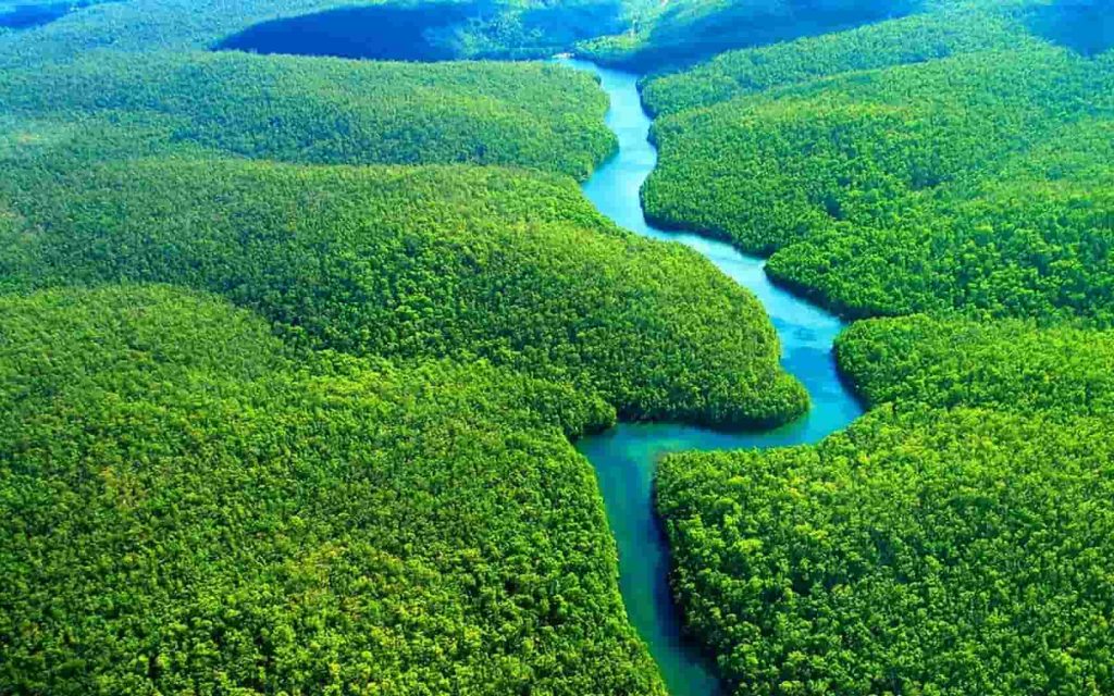 Амазонка - найдовша річка світу